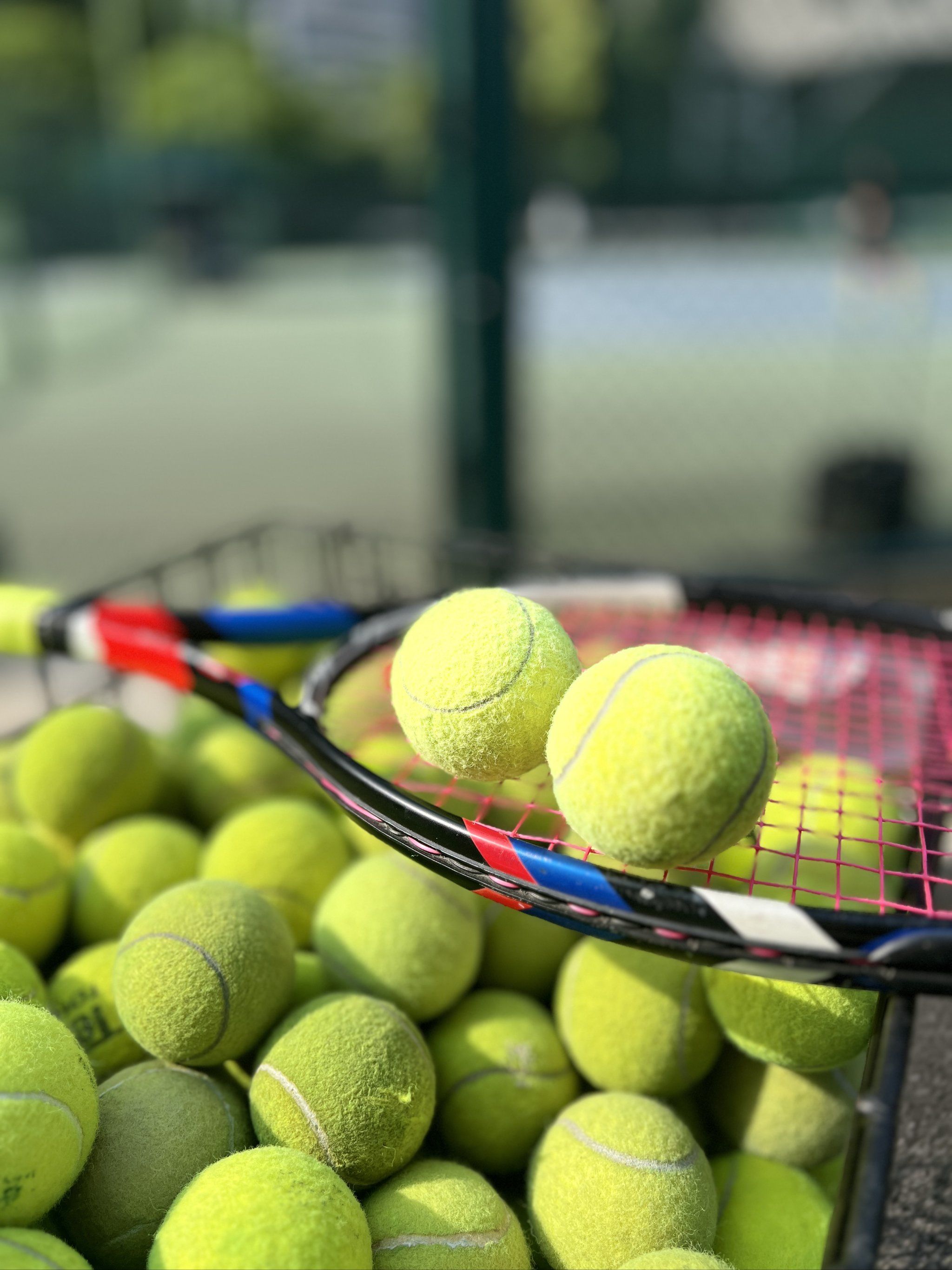 身不仅是个 身不仅是个