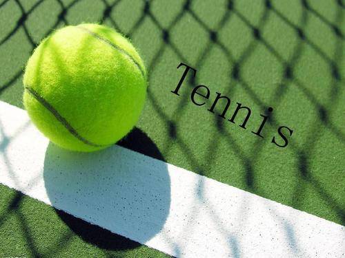 历史倾向的 历史倾向的